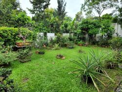 Frankel Estate (D14), Detached #530347081
